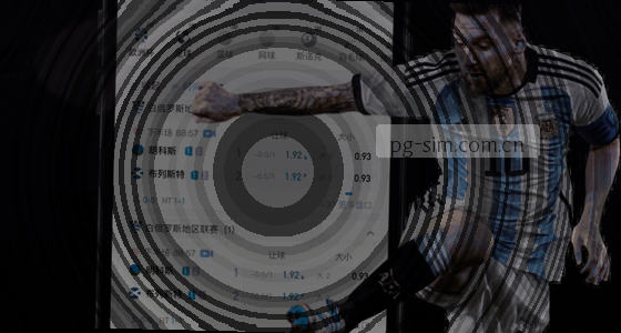 提问：从哪里可以进入XXX平台？